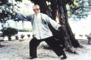 Read more about the article Taijiquan Evolution 2 – Song Style Taijiquan | 宋氏(三世七)太极拳