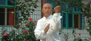 Read more about the article Hebei Chuojiao Master Wang Luocang | 王英峰