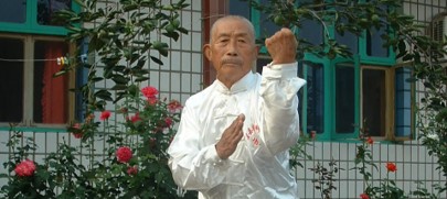 You are currently viewing Hebei Chuojiao Master Wang Luocang | 王英峰