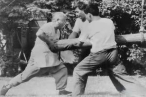 Read more about the article Songxi Nejia Quan