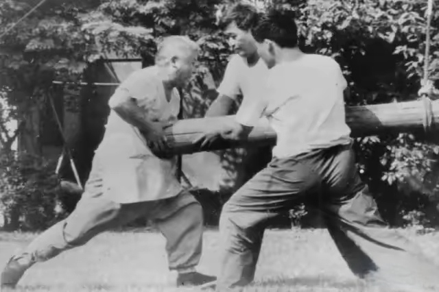 You are currently viewing Songxi Nejia Quan