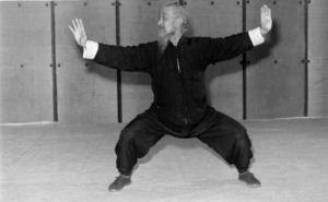 Read more about the article Huà Gōng Quán (化功拳)