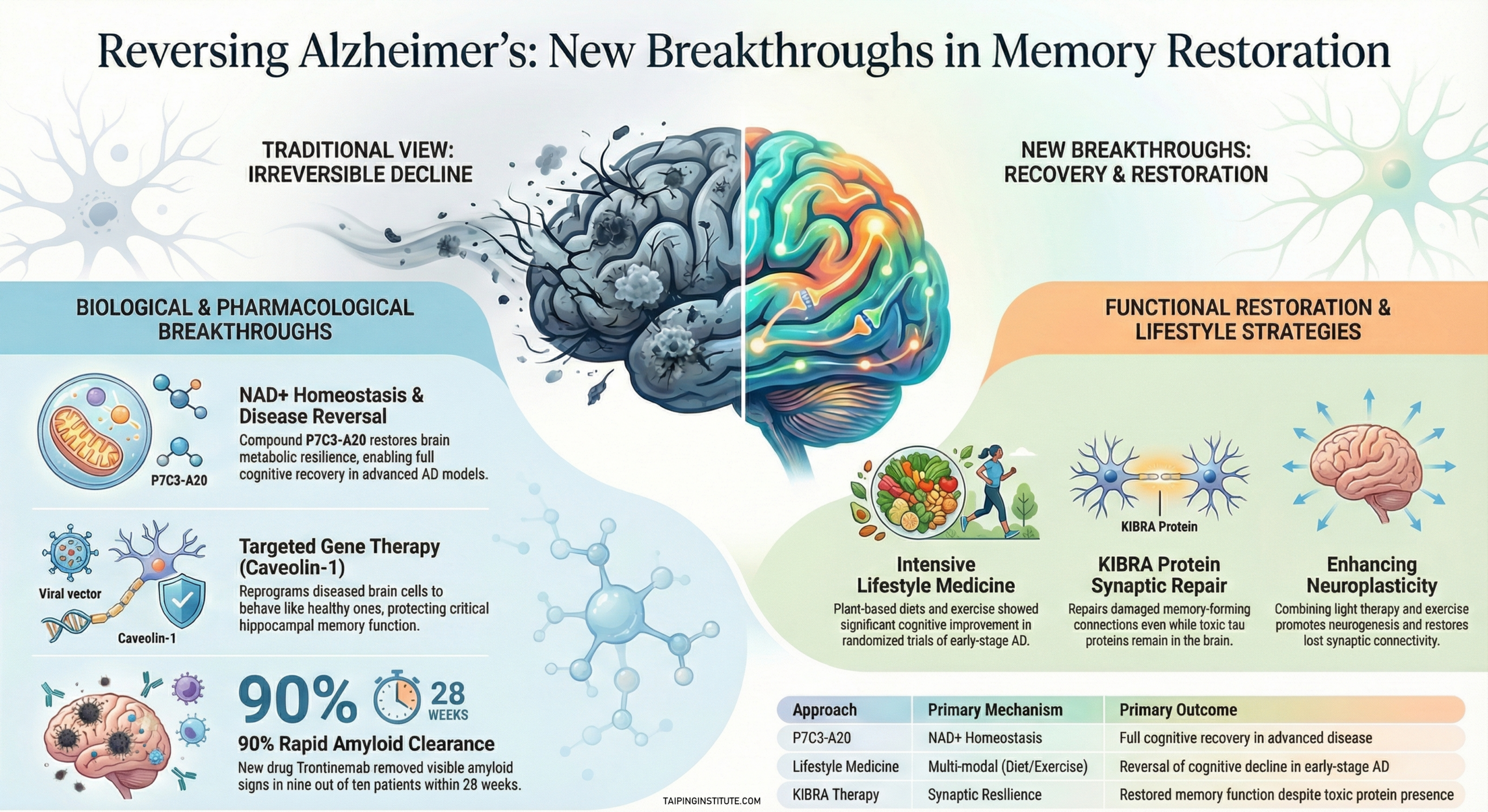 You are currently viewing Reversing Alzheimer’s: New Breakthroughs in memory restoration