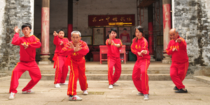 Read more about the article Lishan Fo Jia Quan | 荔山佛家拳