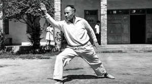 Read more about the article Chengdu Sports Academy GM Professor Zheng Huaixian | 郑怀贤