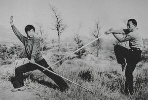 Read more about the article Zuo Family Tantui and Wenshui Long Fist