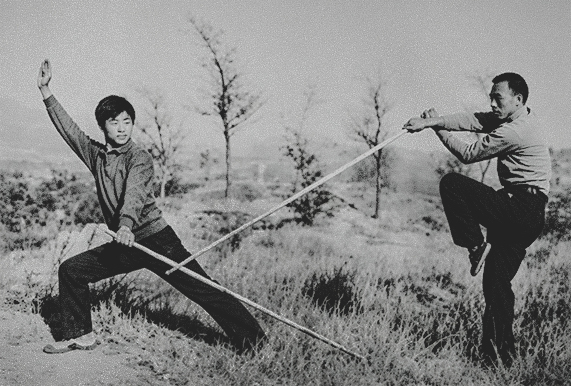 You are currently viewing Zuo Family Tantui and Wenshui Long Fist