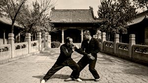 Read more about the article 五行通背拳谱